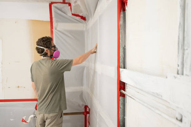 Best Post-Remediation Verification Testing  in Pilot Mountain, NC