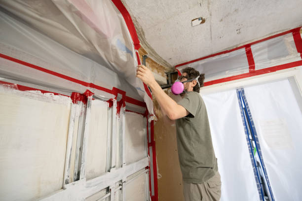 Best HVAC Mold Inspection and Cleaning  in Pilot Mountain, NC