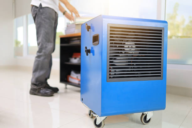 Best Commercial Mold Inspection  in Pilot Mountain, NC